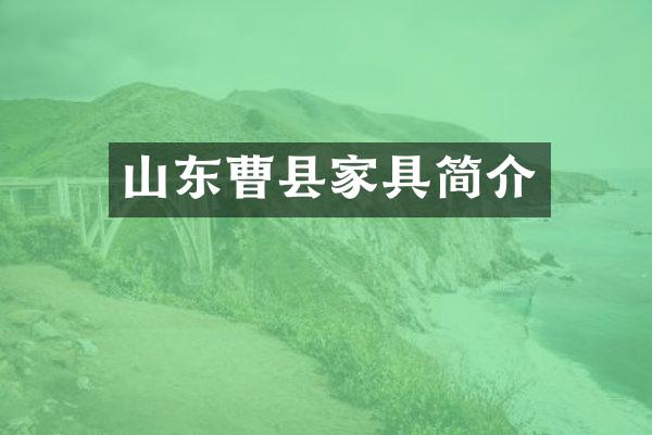 山东曹县家具简介