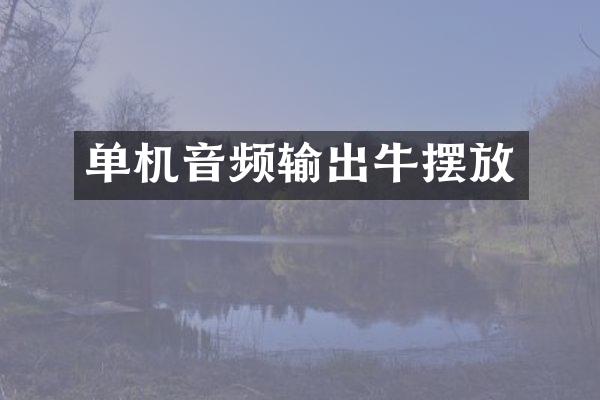 单机音频输出牛摆放