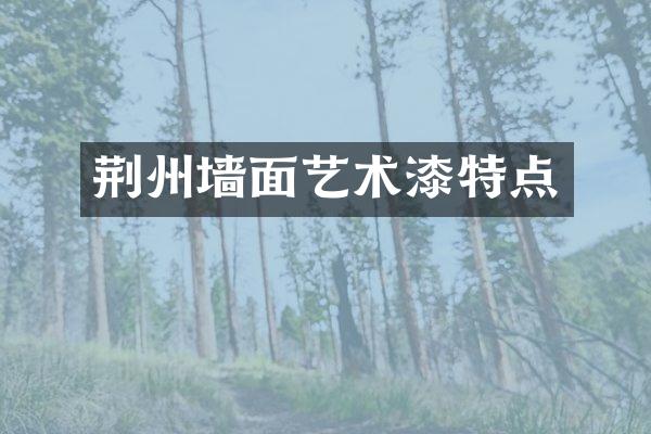 荆州墙面艺术漆特点