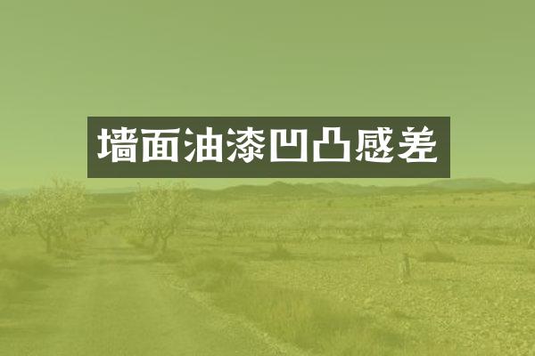 墙面油漆凹凸感差