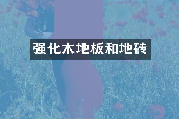 强化木地板和地砖