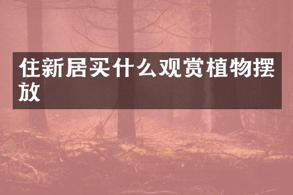 住新居买什么观赏植物摆放