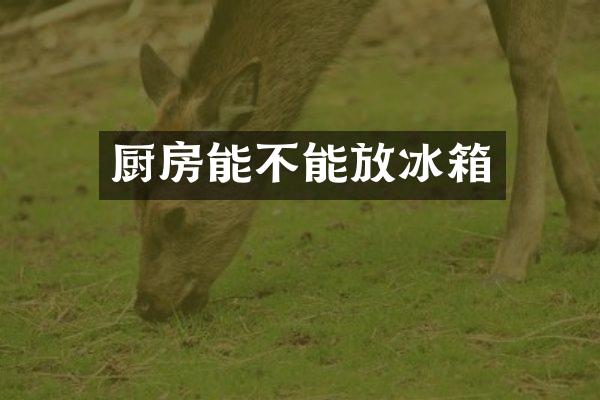 厨房能不能放冰箱