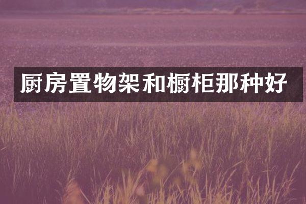厨房置物架和橱柜那种好