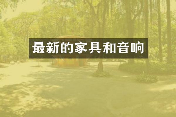 最新的家具和音响