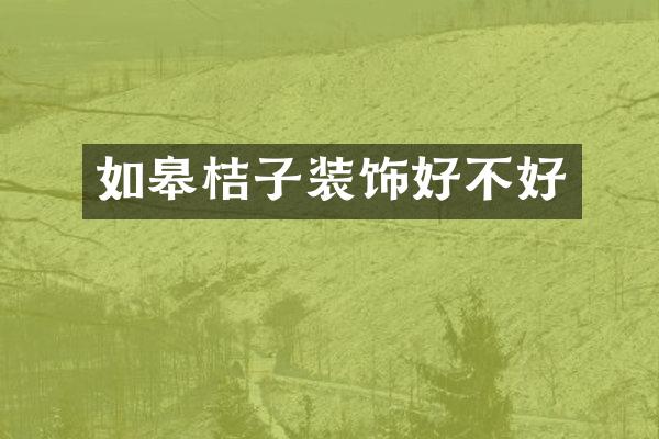 如皋桔子装饰好不好