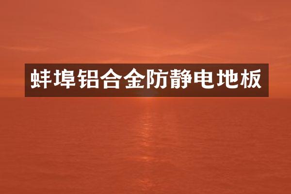 蚌埠铝合金防静电地板