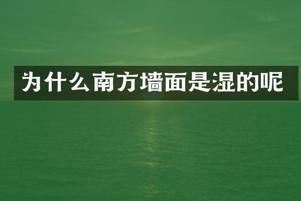 为什么南方墙面是湿的呢