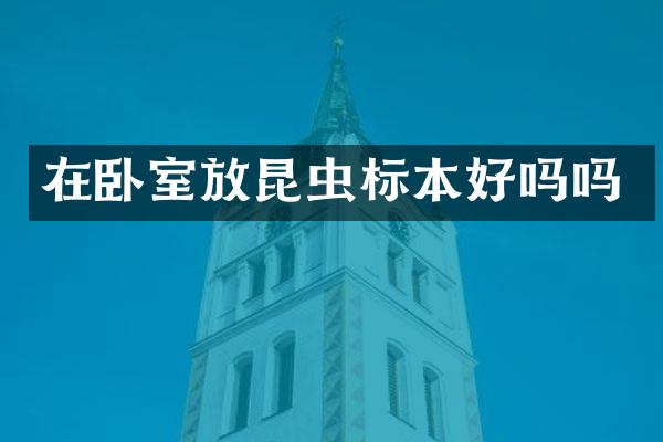 在卧室放昆虫标本好吗吗