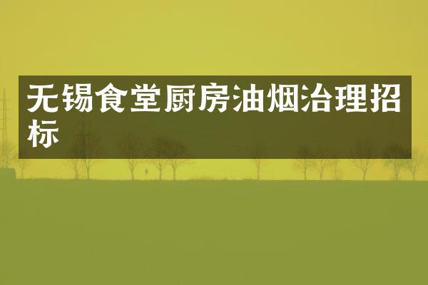 无锡食堂厨房油烟治理招标