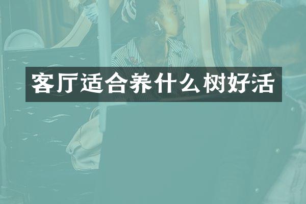 客厅适合养什么树好活