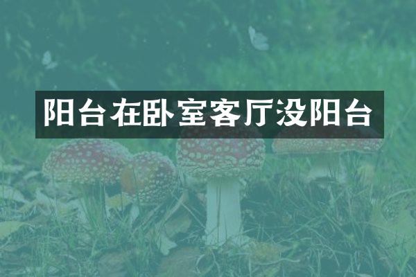 阳台在卧室客厅没阳台