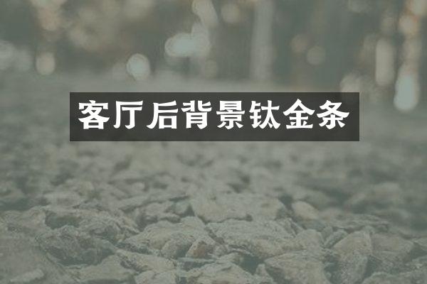客厅后背景钛金条