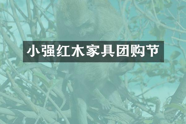 小强红木家具团购节