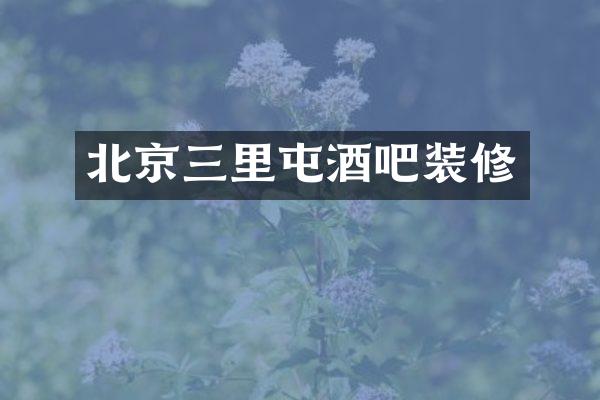 北京三里屯酒吧装修
