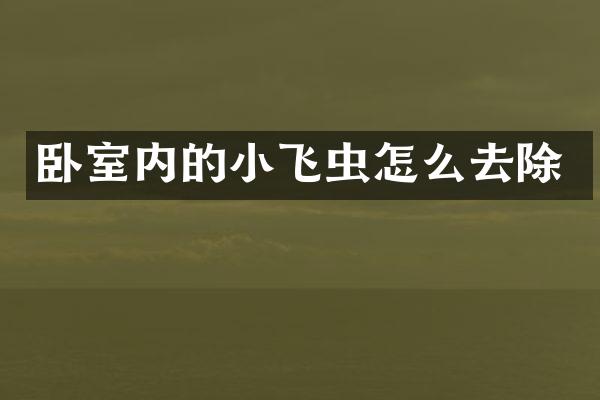卧室内的小飞虫怎么去除