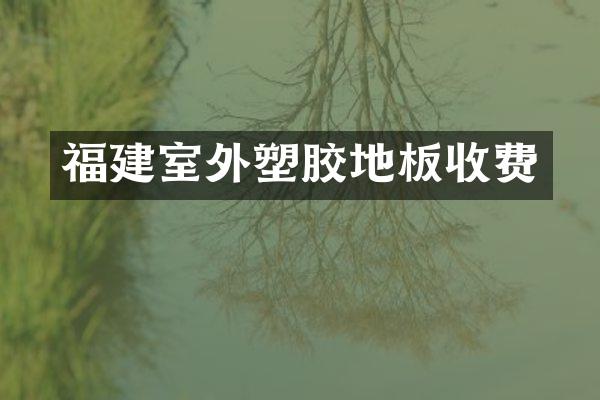 福建室外塑胶地板收费