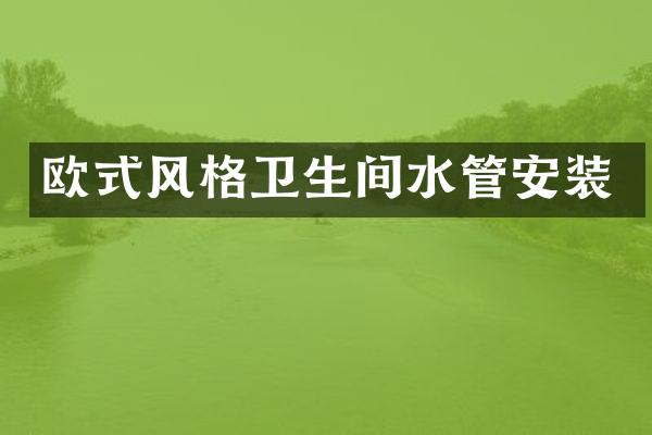 欧式风格卫生间水管安装
