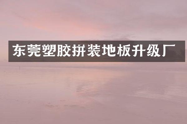 东莞塑胶拼装地板升级厂