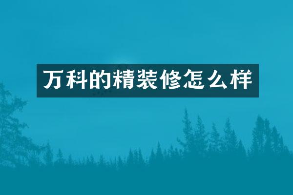 万科的精装修怎么样