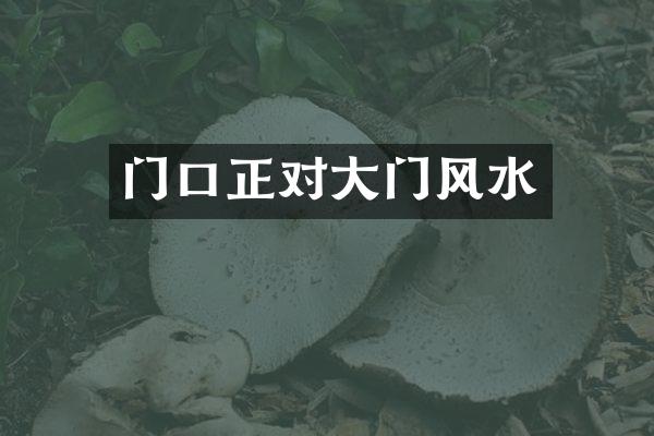 门口正对大门风水