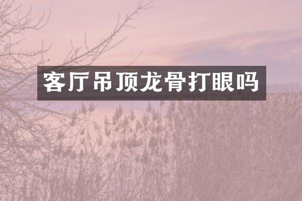 客厅吊顶龙骨打眼吗