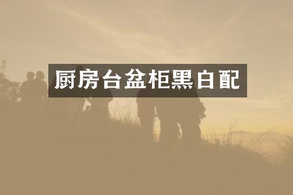 厨房台盆柜黑白配