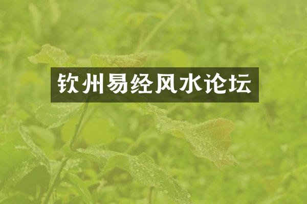 钦州易经风水论坛