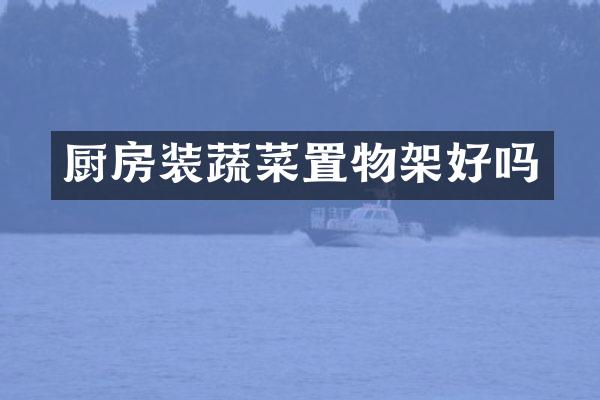 厨房装蔬菜置物架好吗