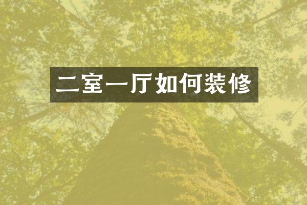 二室一厅如何装修