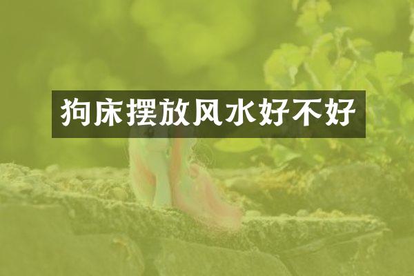 狗床摆放风水好不好