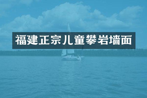 福建正宗儿童攀岩墙面