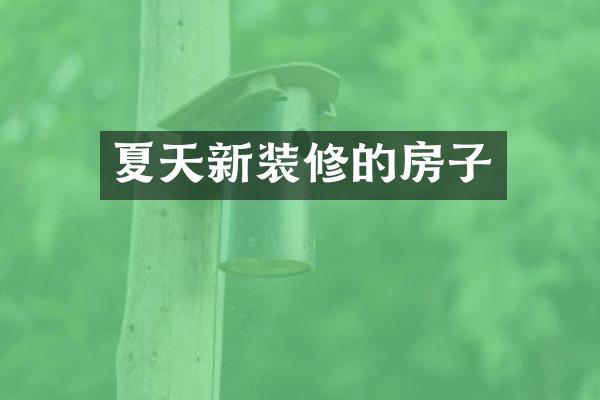夏天新装修的房子