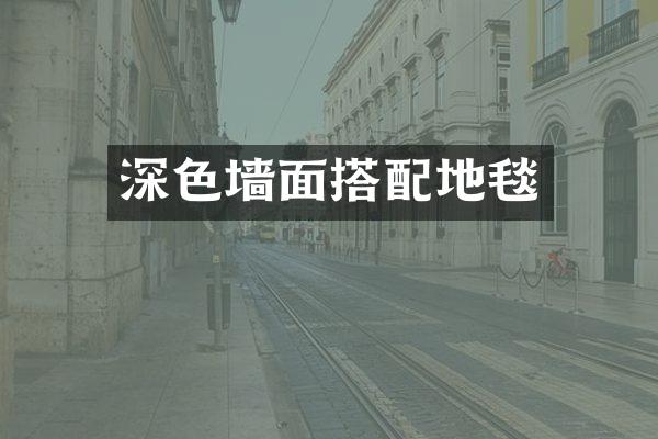 深色墙面搭配地毯