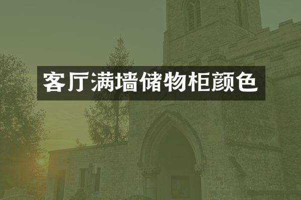 客厅满墙储物柜颜色