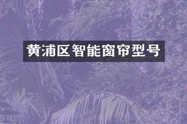 黄浦区智能窗帘型号
