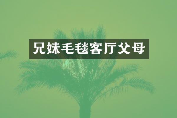 兄妹毛毯客厅父母
