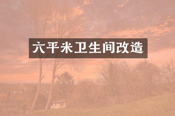 六平米卫生间改造