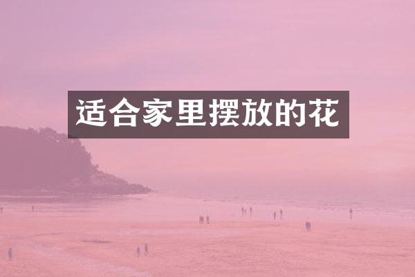 适合家里摆放的花