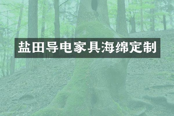盐田导电家具海绵定制
