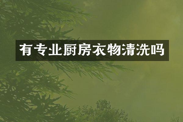 有专业厨房衣物清洗吗