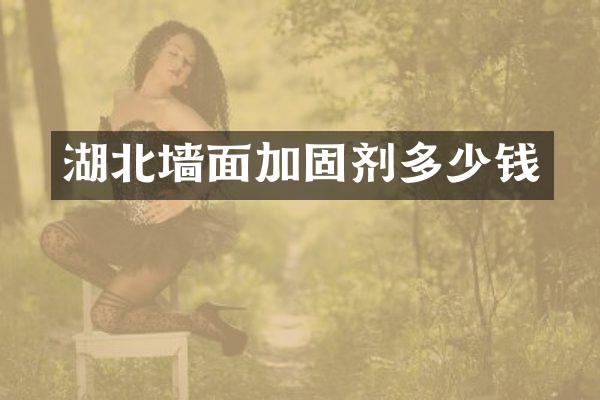 湖北墙面加固剂多少钱