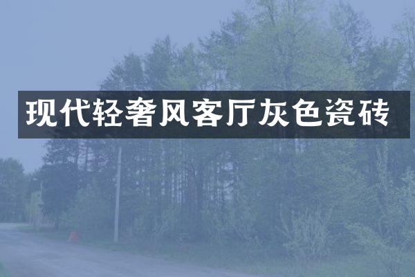 现代轻奢风客厅灰色瓷砖