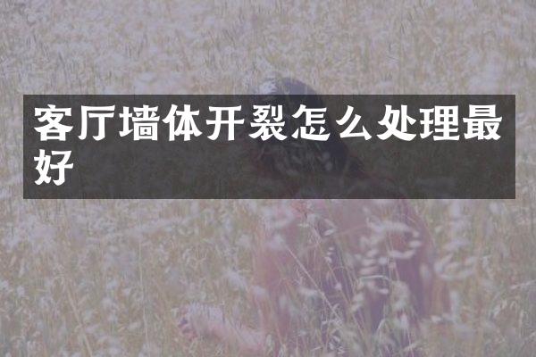 客厅墙体开裂怎么处理最好