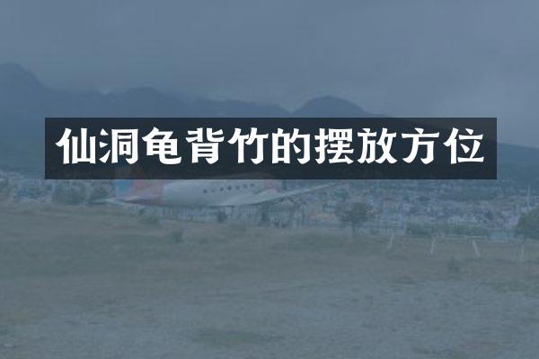 仙洞龟背竹的摆放方位