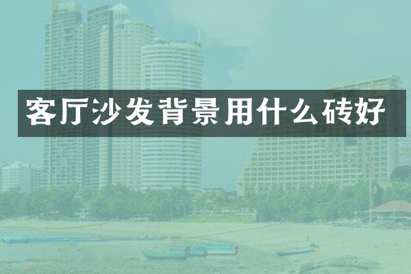 客厅沙发背景用什么砖好