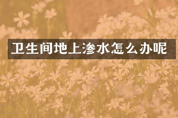 卫生间地上渗水怎么办呢