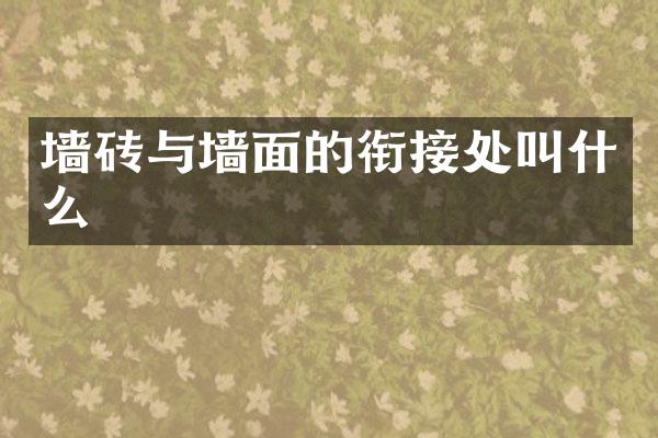墙砖与墙面的衔接处叫什么
