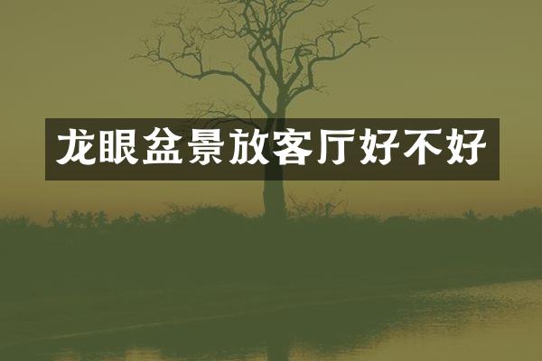 龙眼盆景放客厅好不好