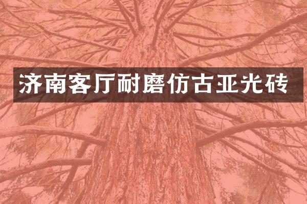 济南客厅耐磨仿古亚光砖